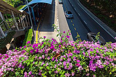 《龙之信条2》IGN评8分 发扬了优点但没解决缺点